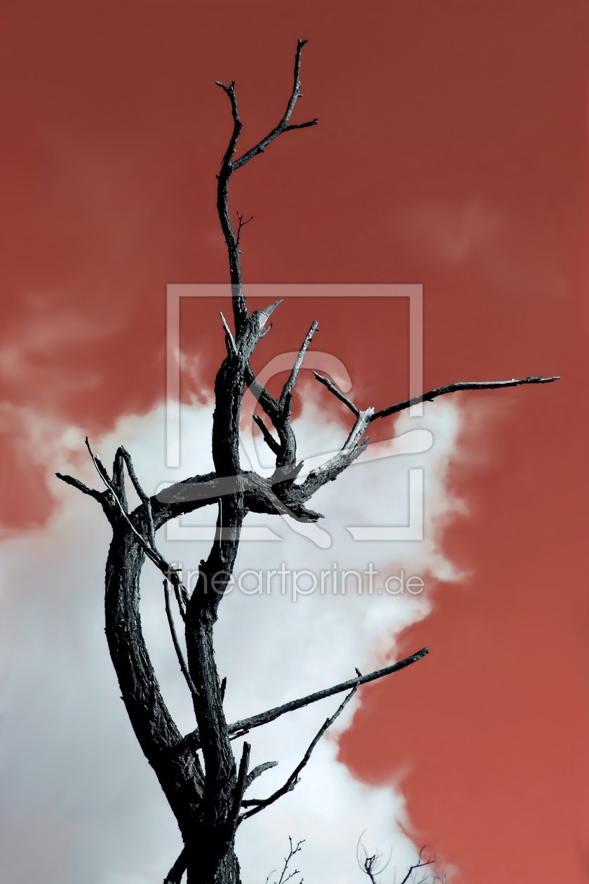 Bild-Nr.: 11989005 Hoch hinaus erstellt von Rainer-Kleinferchner-Fotografie