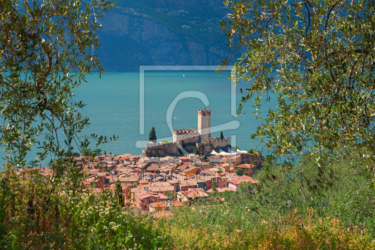 Bild-Nr.: 11989768 Olivenhain mit Blick zur Altstadt Malcesine erstellt von SusaZoom