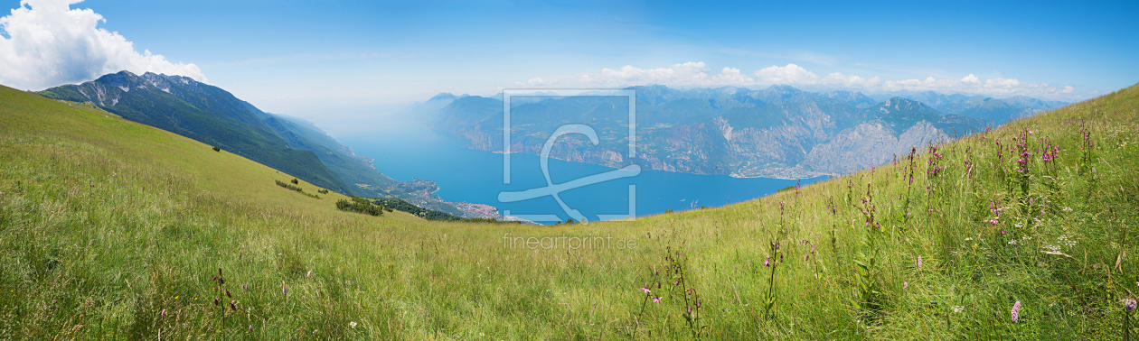 Bild-Nr.: 11990111 Wiese mit Türkenbundlilien am Monte Baldo Gardasee erstellt von SusaZoom