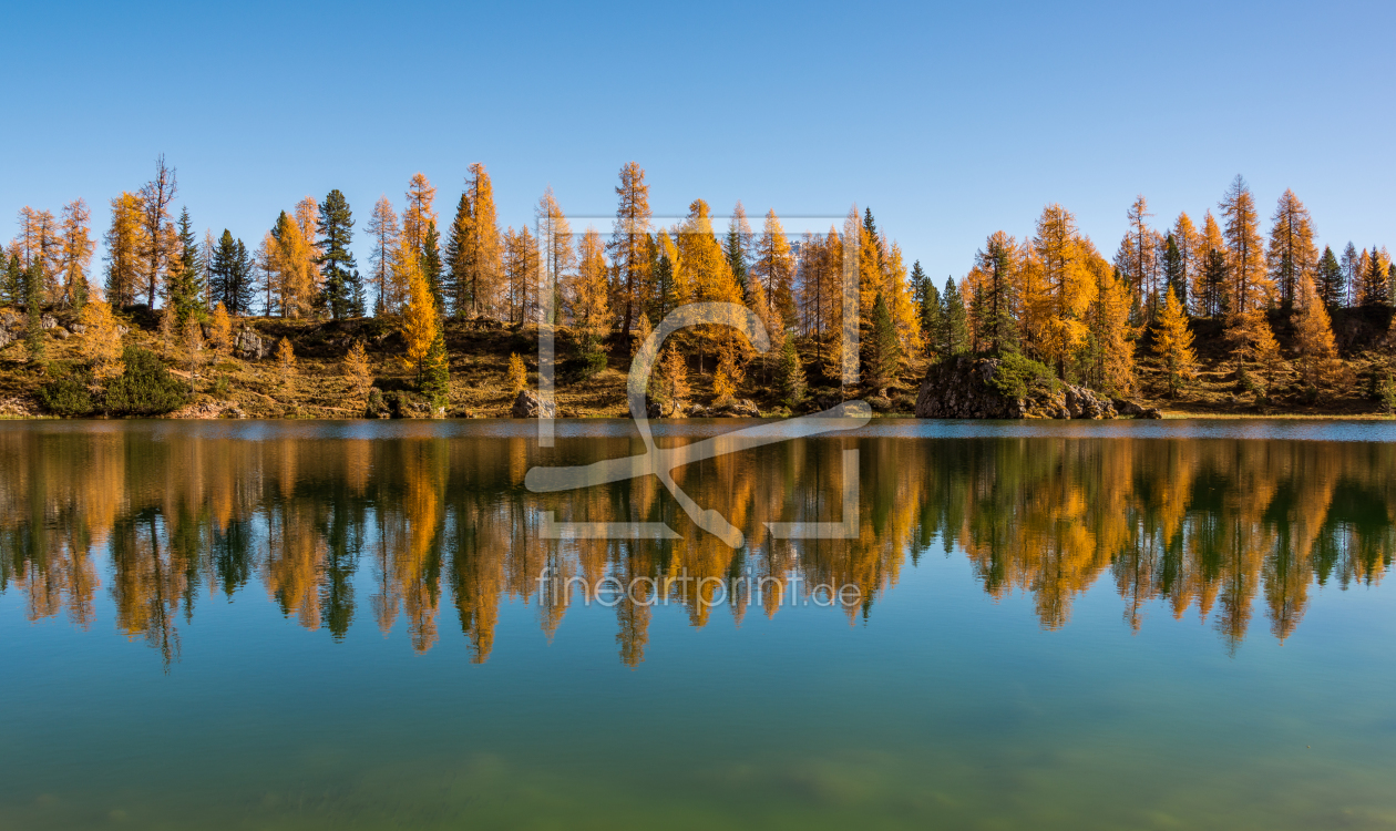 Bild-Nr.: 11991169 Herbstliche Baumreihe am Federa See der Dolomiten erstellt von Graphitone