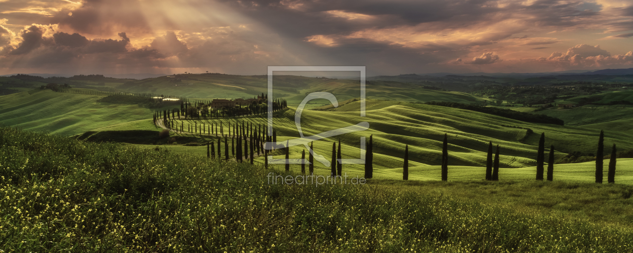 Bild-Nr.: 11991326 Toskana Crete Senesi im Abendlicht  erstellt von Jean Claude Castor