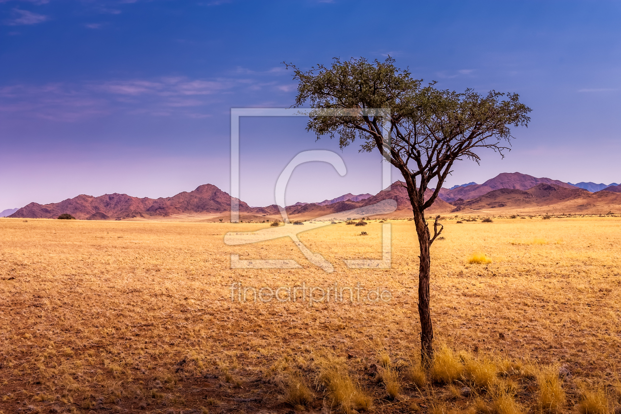 Bild-Nr.: 11992331 Namibia erstellt von Thomas Gerber