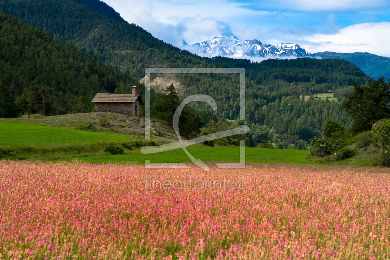 Bild-Nr.: 11993812 Frühling in den französischen Alpen erstellt von KundenNr-327281