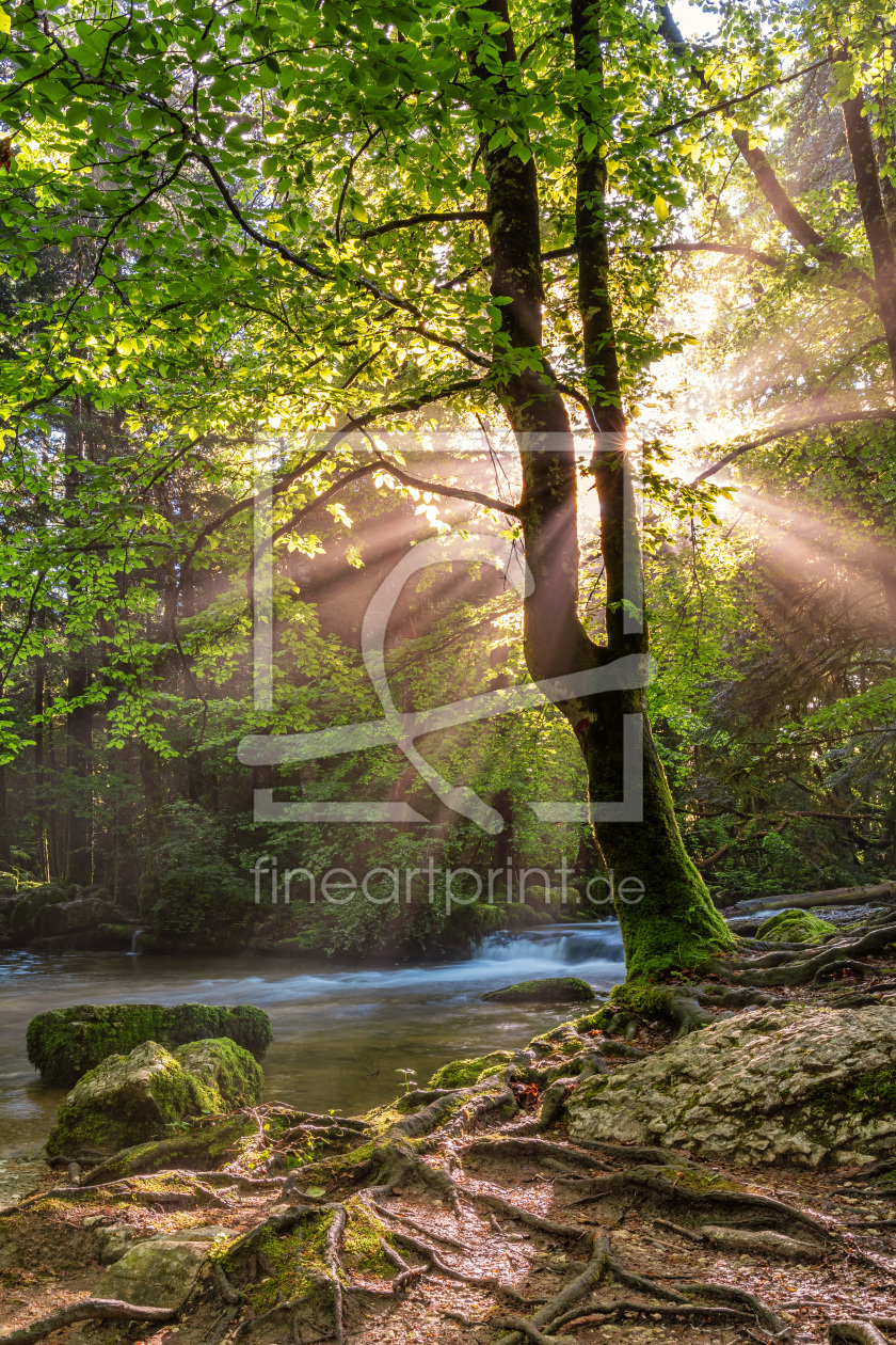 Bild-Nr.: 11995419 Small river in the Jura mountains with sunbeams erstellt von PhotoGranary