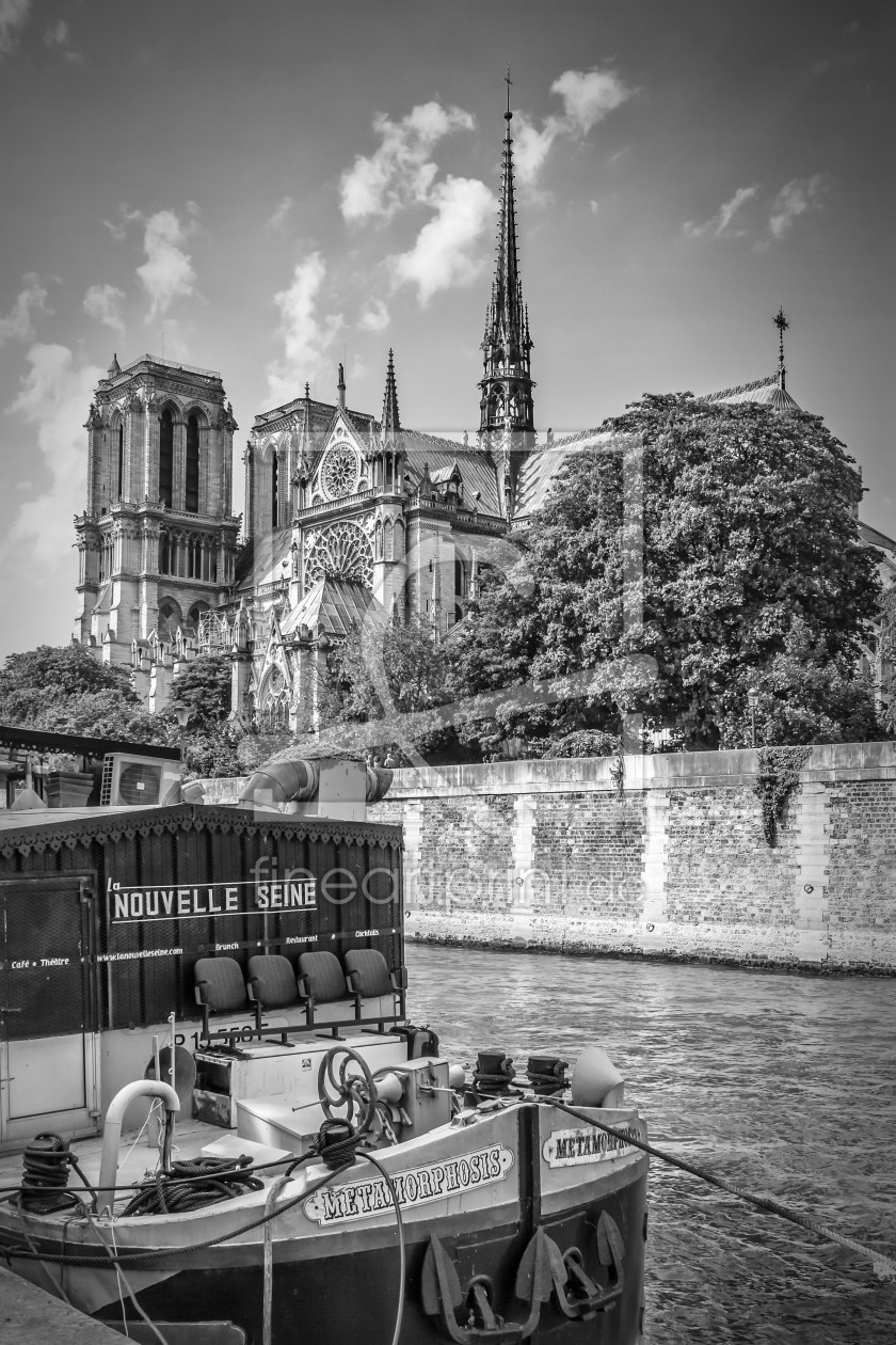 Bild-Nr.: 11995502 PARIS Kathedrale Notre-Dame - Monochrom erstellt von Melanie Viola
