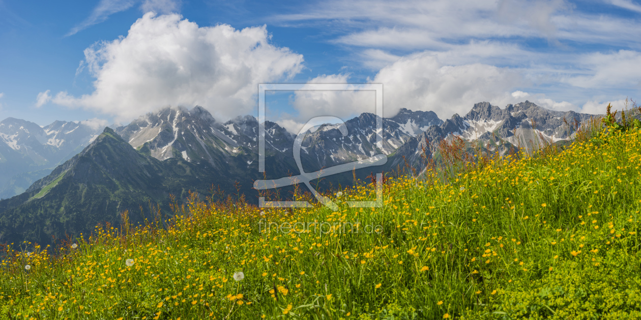 Bild-Nr.: 11995998 Bergblumen erstellt von Walter G. Allgöwer