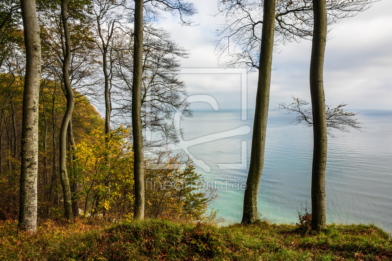 Bild-Nr.: 11996459 Ostseeküste auf der Insel Rügen erstellt von Rico Ködder