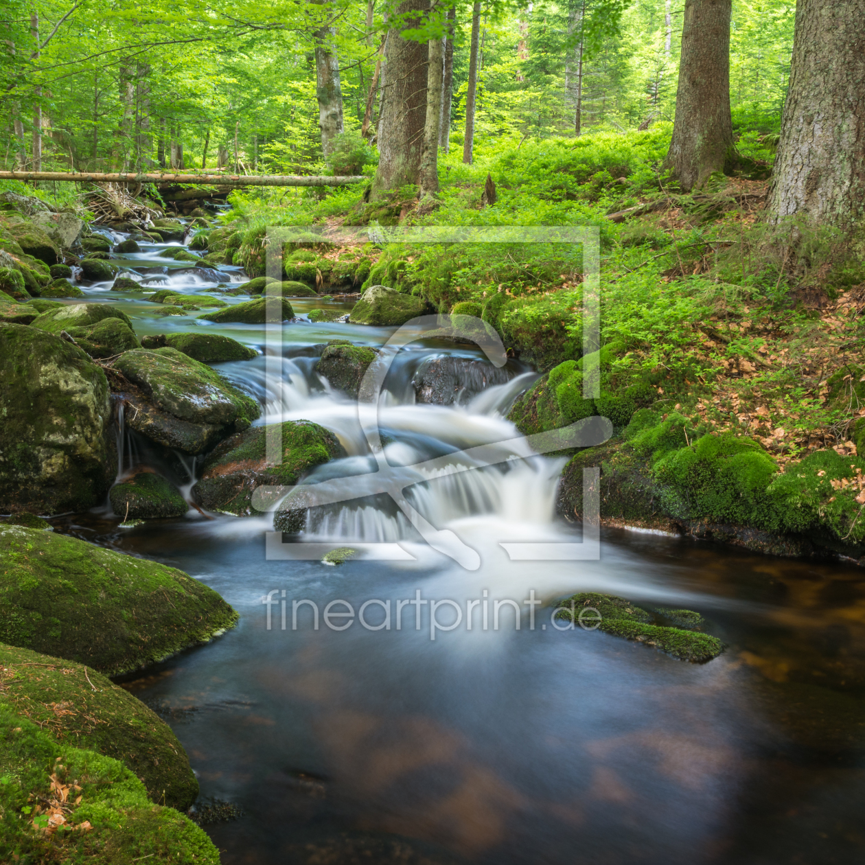 Bild-Nr.: 11996463 Romantisches Wildwasser im Wald  erstellt von luxpediation