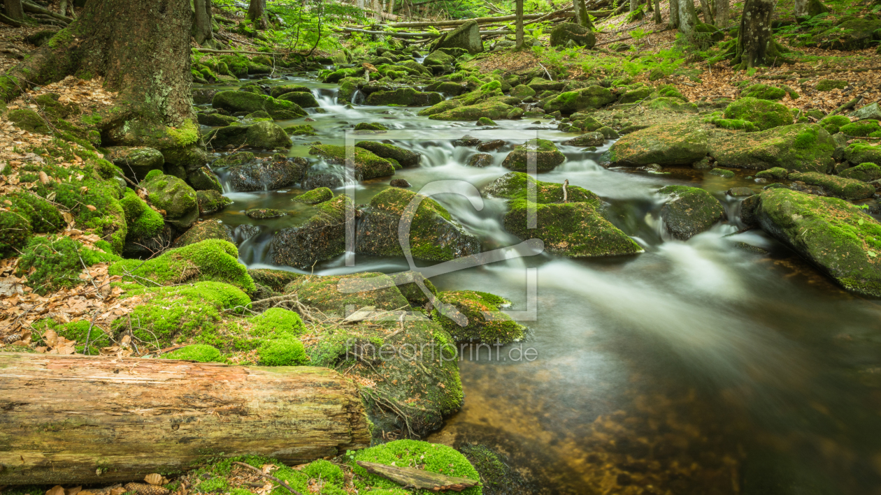 Bild-Nr.: 11996956 Wilder Waldbach - Bayerischer Wald erstellt von luxpediation