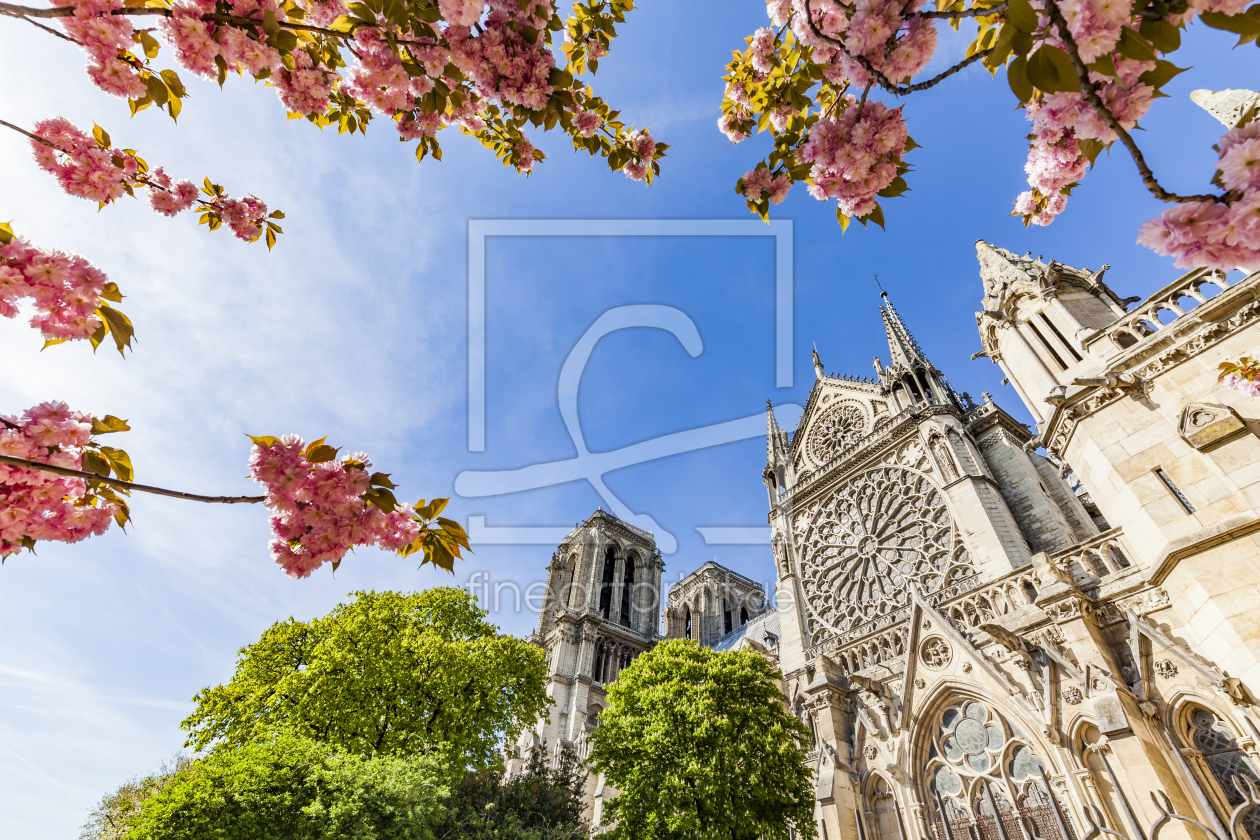 Bild-Nr.: 11997052 Kathedrale Notre Dame in Paris im Frühling erstellt von dieterich