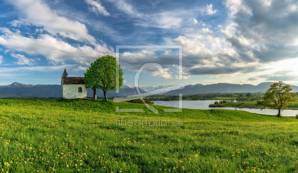 Bild-Nr.: 11997289 Frühlingsidylle in Oberbayern erstellt von Achim Thomae