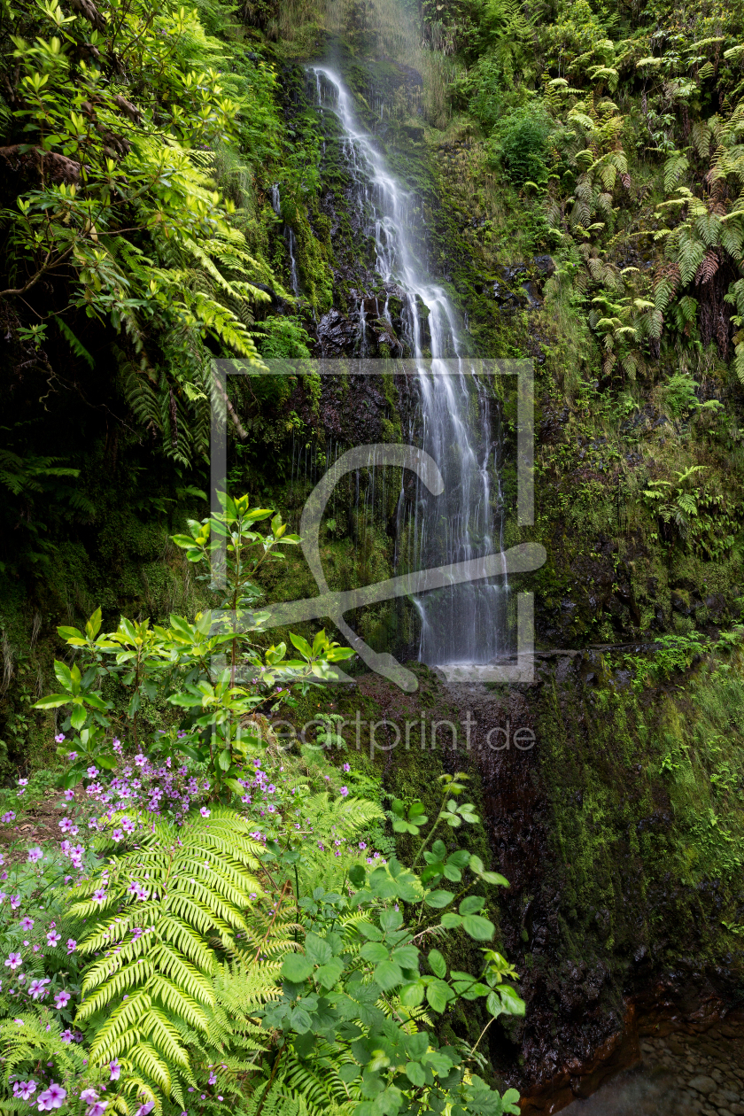 Bild-Nr.: 11998944 Waldidylle Wasserfall erstellt von Thomas Herzog