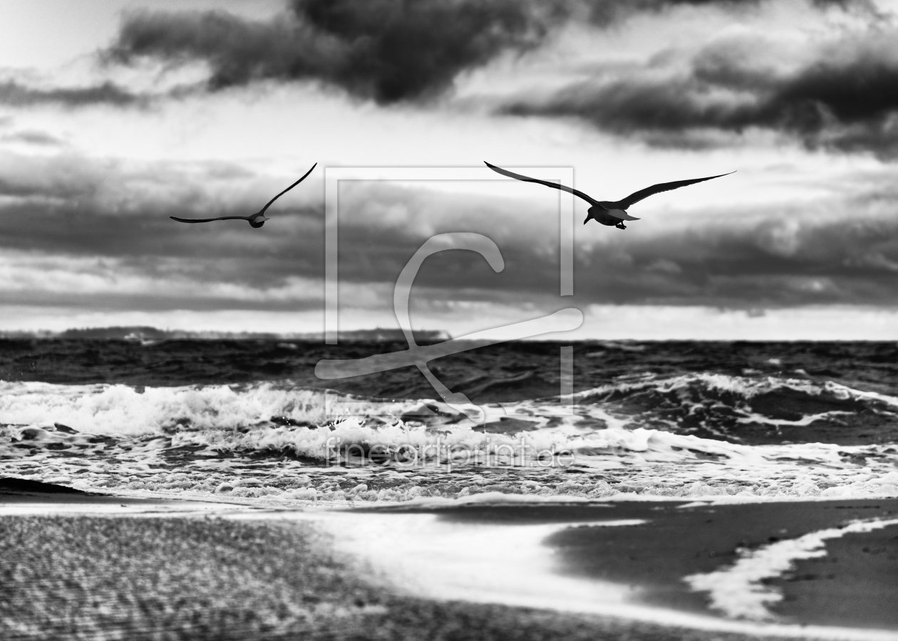 Bild-Nr.: 12000505 Fliegende Vögel am Ostseestrand erstellt von lichtjahr21