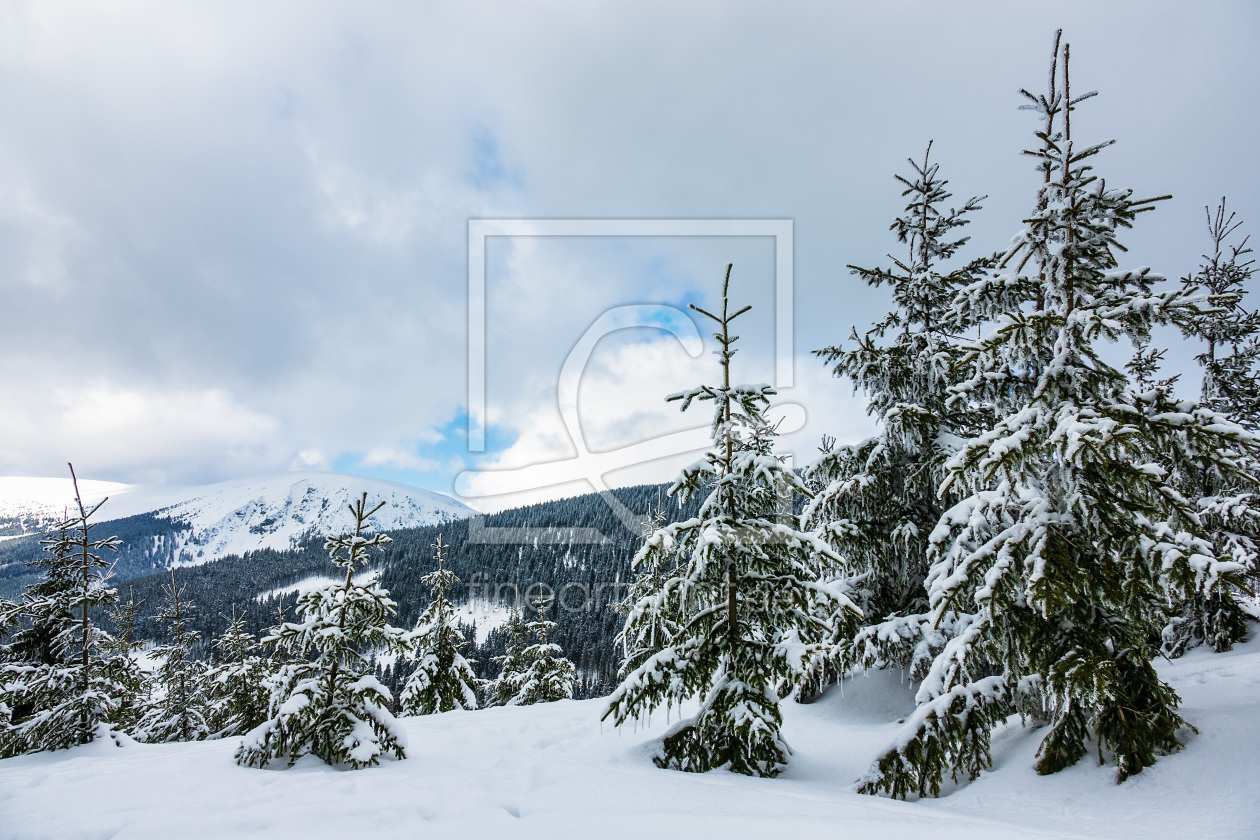 Bild-Nr.: 12000802 Winter im Riesengebirge erstellt von Rico Ködder
