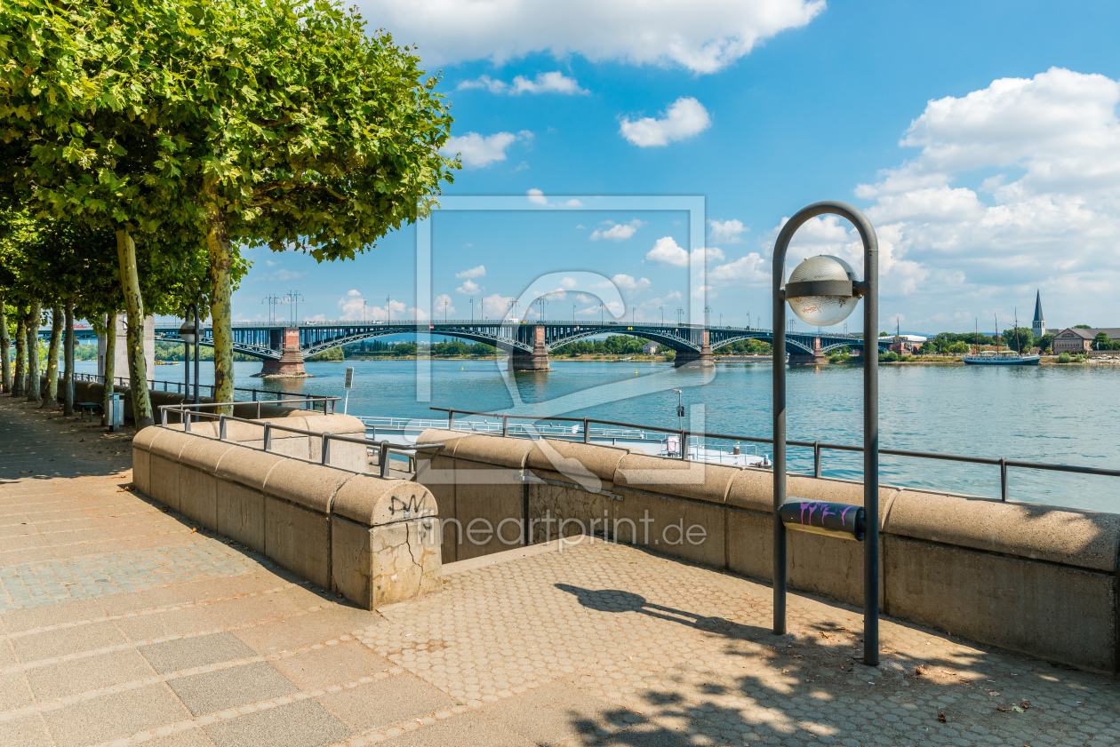 Bild-Nr.: 12001321 Rheinuferpromenade Mainz 73 erstellt von Erhard Hess