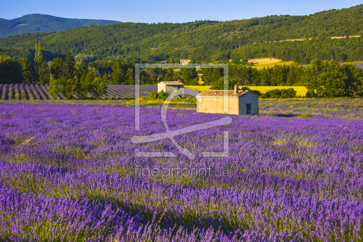 Bild-Nr.: 12001470 Abendstimmung der Provence erstellt von KundenNr-160338