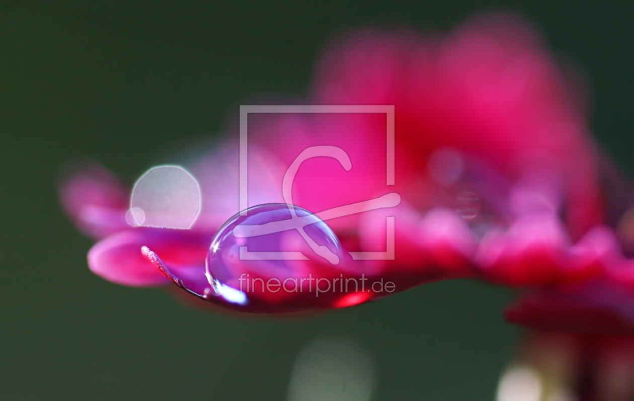 Bild-Nr.: 12001560 Lilac rain erstellt von youhaveadream