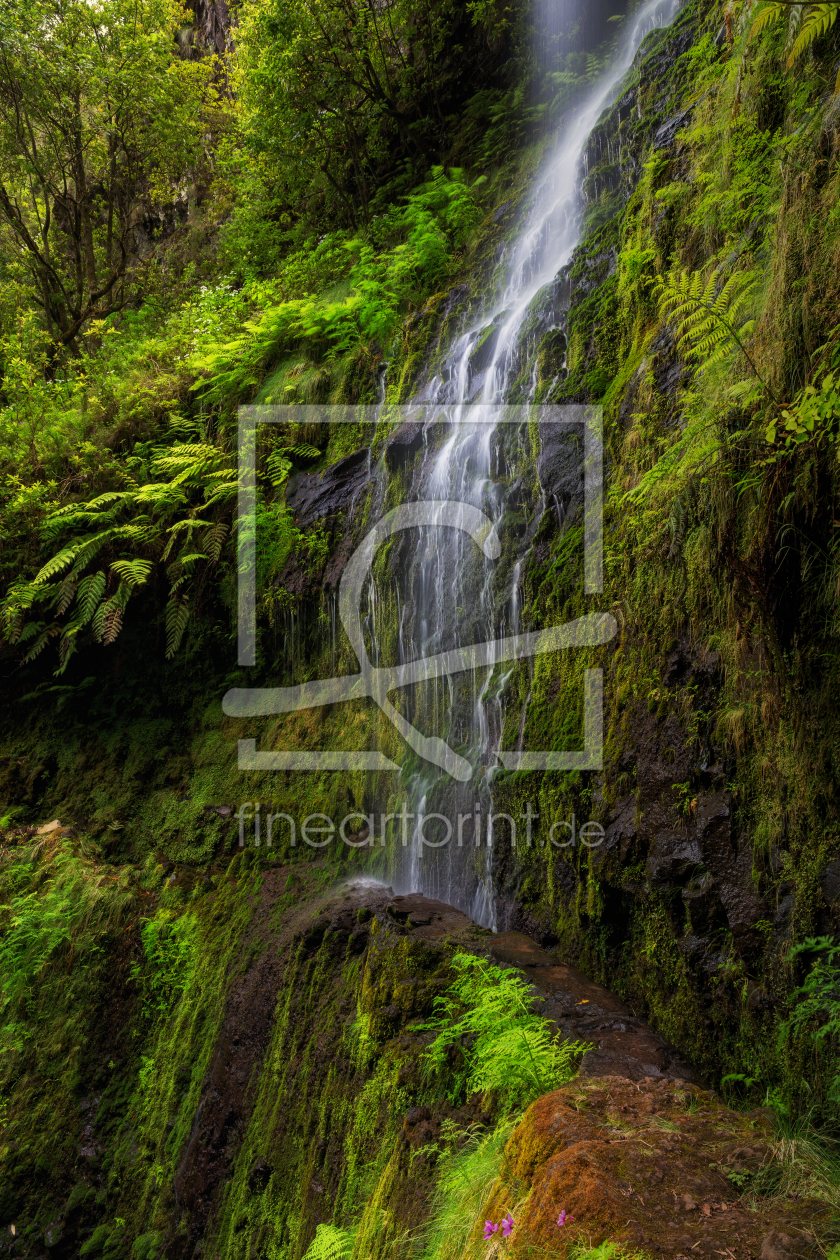 Bild-Nr.: 12003382 Madeira - Levada - Wasserfall erstellt von Thomas Herzog