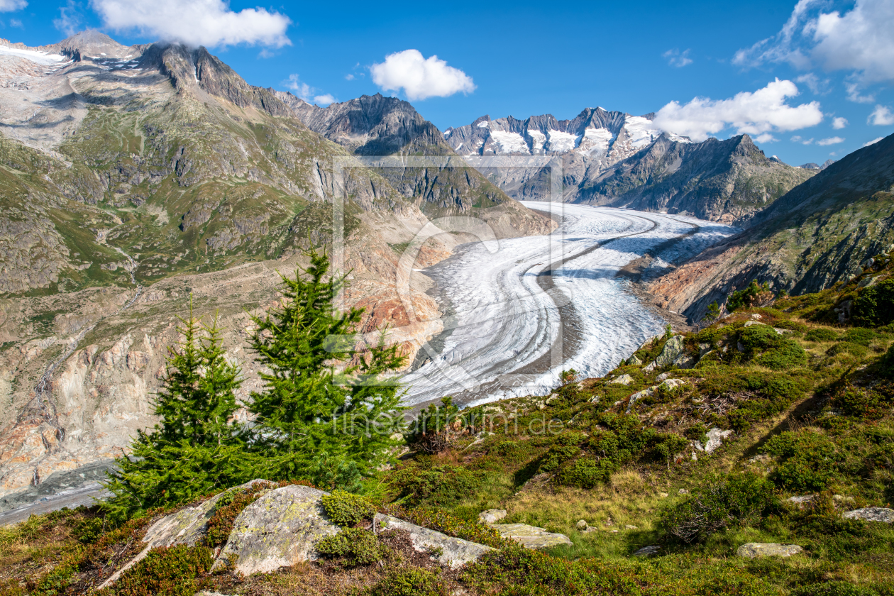 Bild-Nr.: 12003936 Großer Aletschgletscher - Wallis - Schweiz erstellt von Achim Thomae