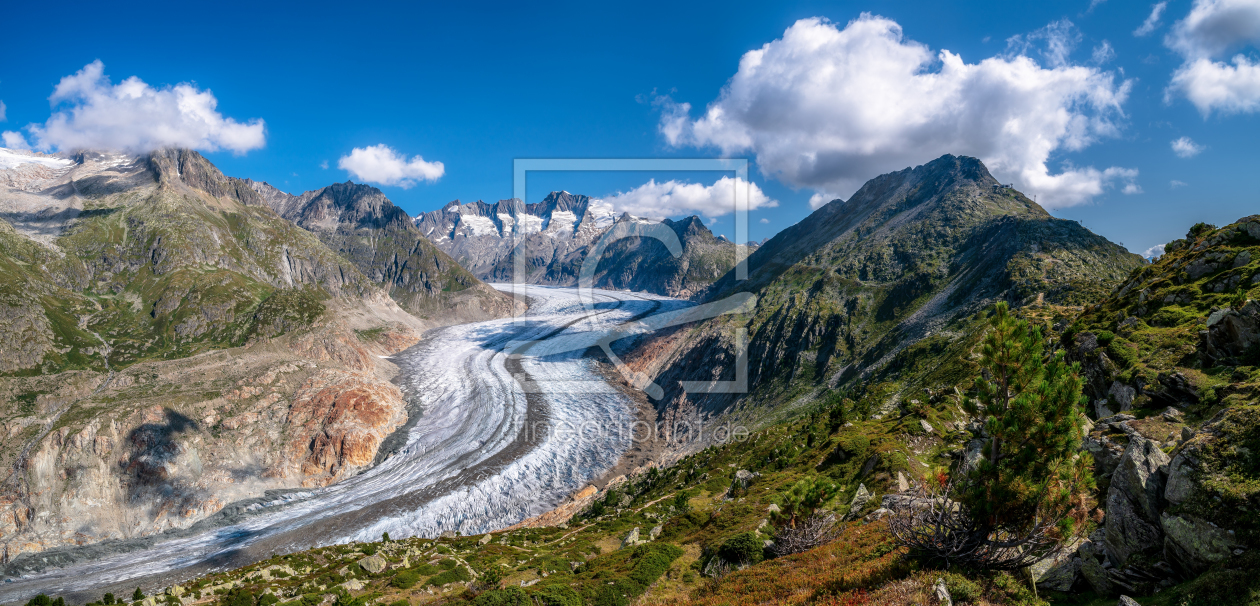 Bild-Nr.: 12003967 Großer Aletschgletscher - Wallis - Schweiz erstellt von Achim Thomae