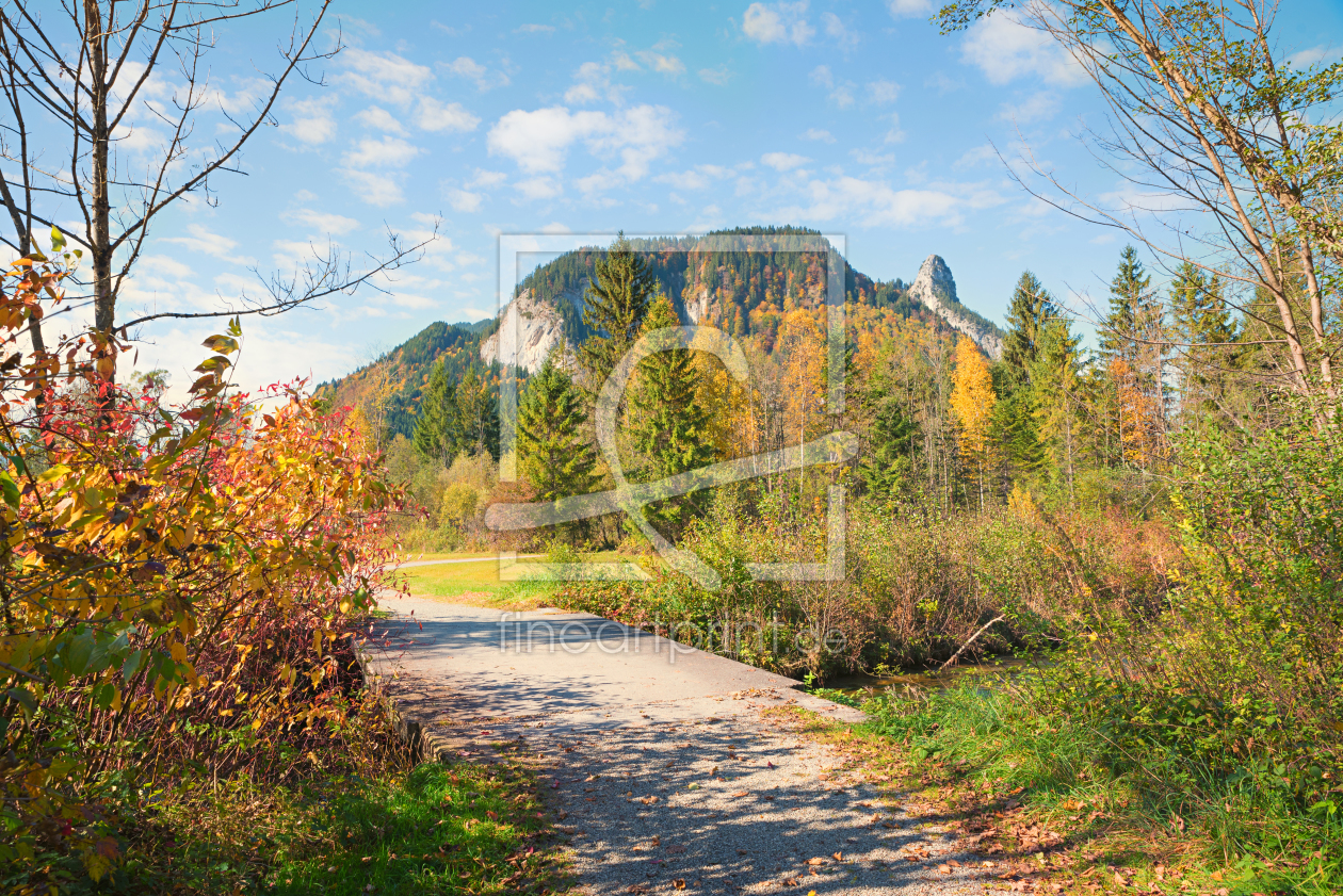 Bild-Nr.: 12005278 Ettaler Weidmoos Wanderweg im Herbst erstellt von SusaZoom