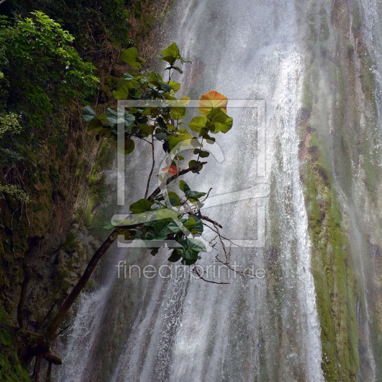 Bild-Nr.: 12006540 Salto del Limon erstellt von Bettina Schnittert