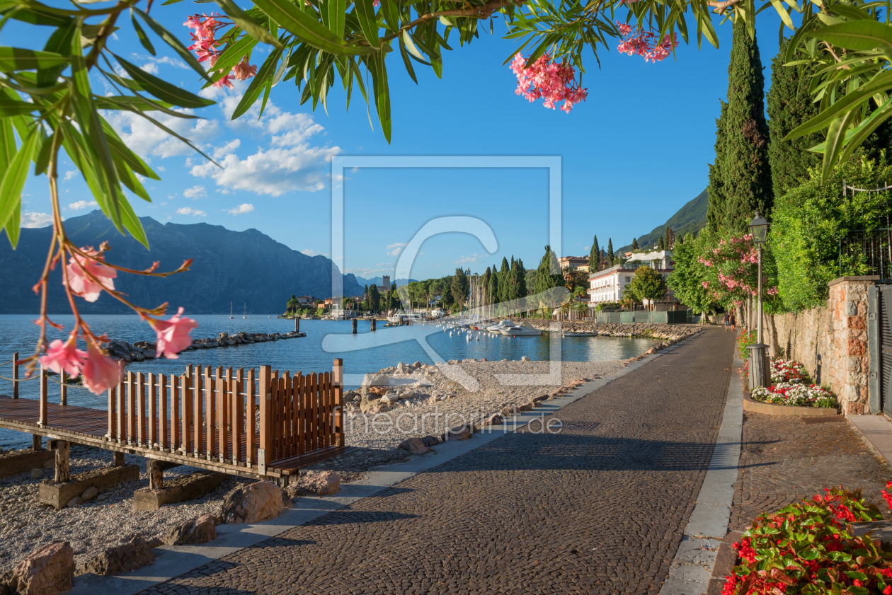 Bild-Nr.: 12007568 Uferpromenade Malcesine mit Oleanderzweigen erstellt von SusaZoom