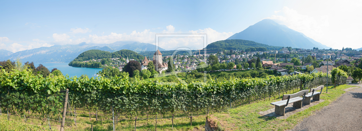 Bild-Nr.: 12009512 Aussichtspunkt Rebberg in Spiez Panorama Schweiz erstellt von SusaZoom