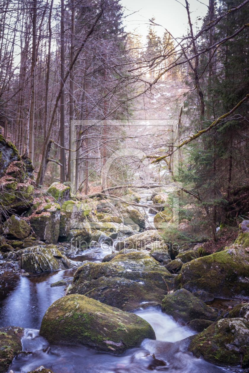 Bild-Nr.: 12009609 Wildbach im Wald - Steinklamm erstellt von luxpediation