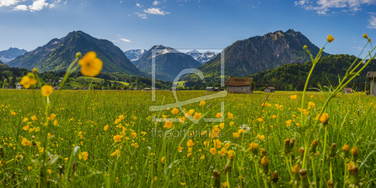 Bild-Nr.: 12009631 Blumenwiese im Allgäu erstellt von Walter G. Allgöwer