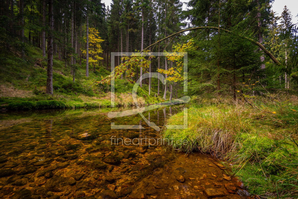 Bild-Nr.: 12012887 Hanging Tree erstellt von FotoDeHRO