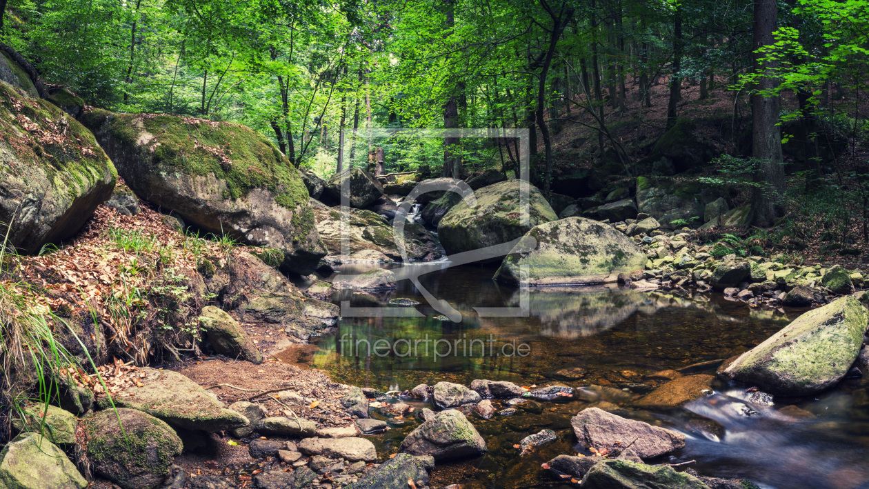 Bild-Nr.: 12012929 Harz Fluss erstellt von luxpediation