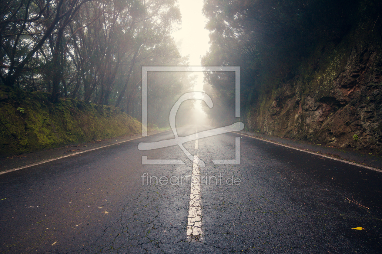 Bild-Nr.: 12013480 Straße im Nebelwald erstellt von Sandro Henke