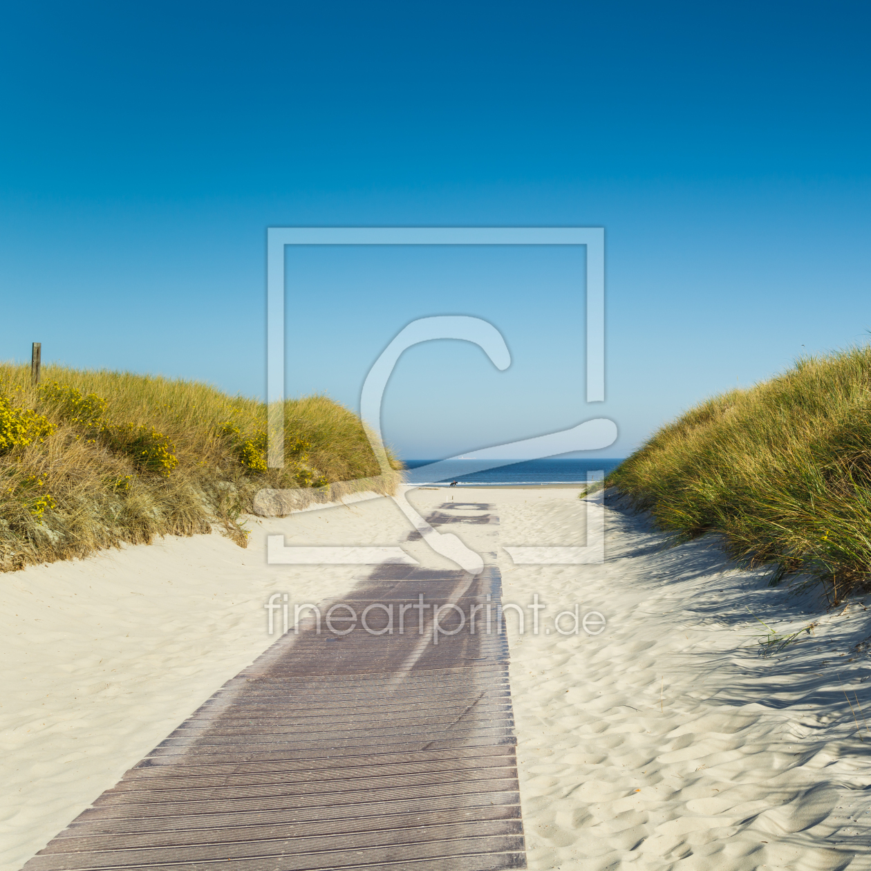 Bild-Nr.: 12014104 Norderney - Ausritt am Strand erstellt von Ursula Reins