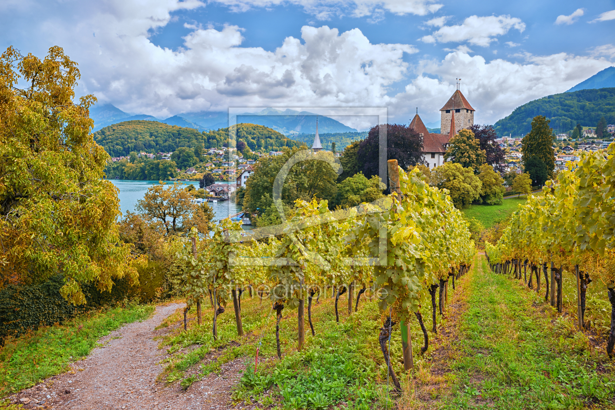 Bild-Nr.: 12014341 Wanderweg am Rebberg Spiez im Herbst erstellt von SusaZoom