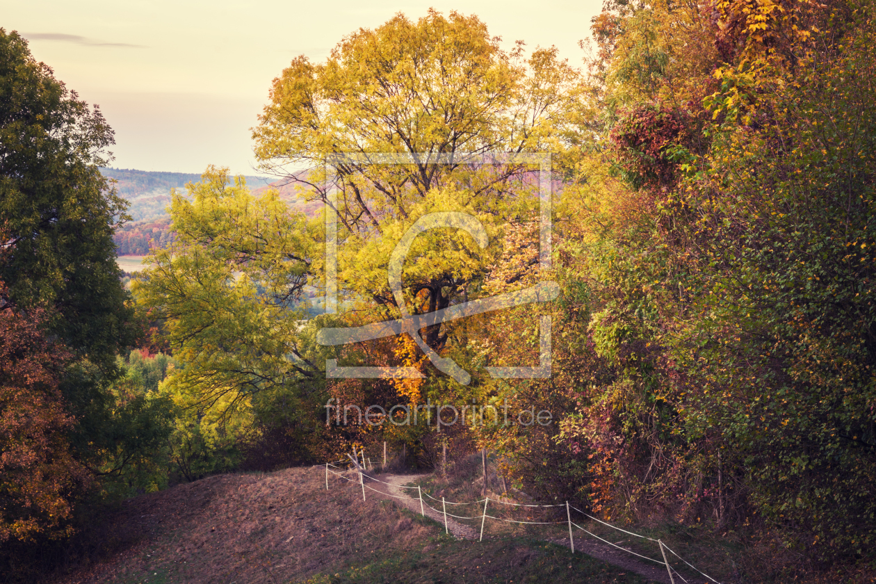 Bild-Nr.: 12014345 Landschaft im Herbst erstellt von luxpediation