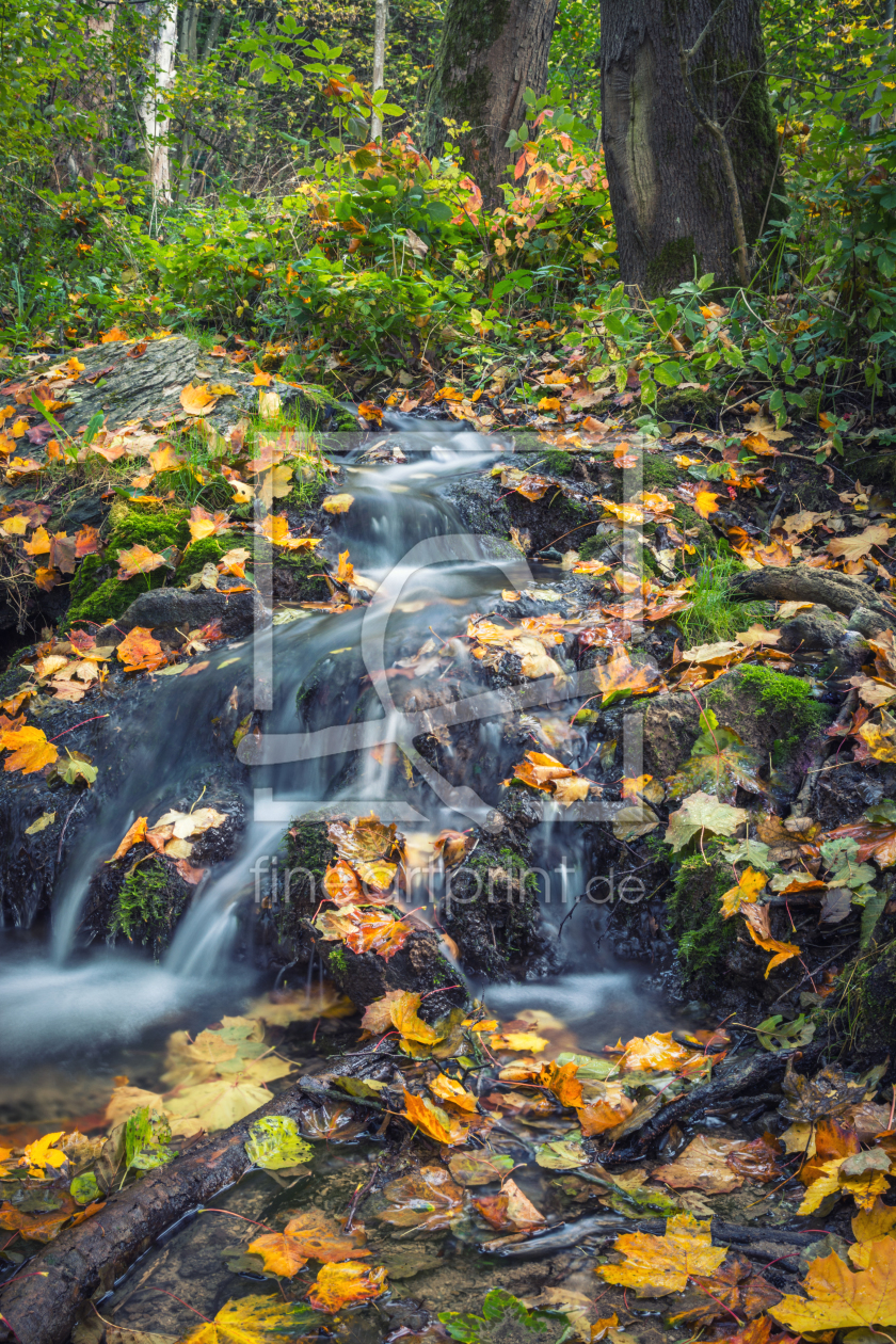 Bild-Nr.: 12014382 Bach im Herbst erstellt von luxpediation