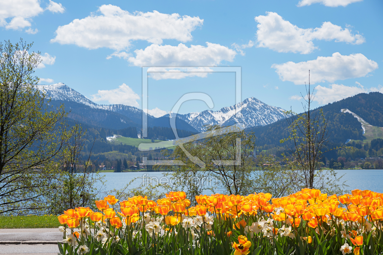 Bild-Nr.: 12014383 Frühling am Tegernsee erstellt von SusaZoom