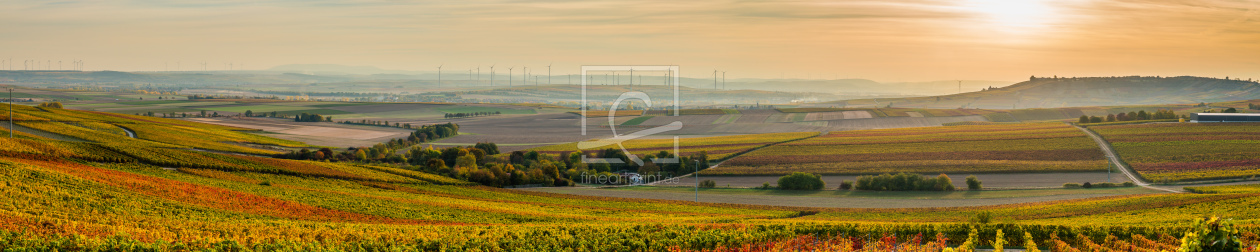 Bild-Nr.: 12014791 Goldenes Rheinhessen -3-5- erstellt von Erhard Hess