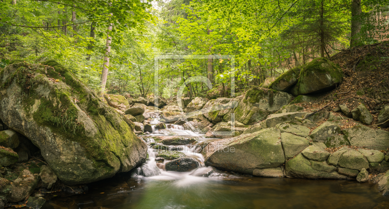 Bild-Nr.: 12014804 Harz Wald Panorama erstellt von luxpediation