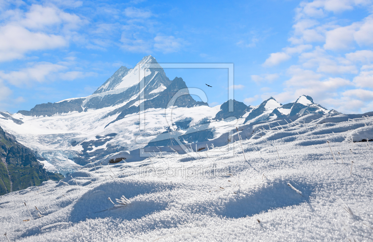 Bild-Nr.: 12015739 Winterlandschaft Schreckhorn im Berner Oberland erstellt von SusaZoom