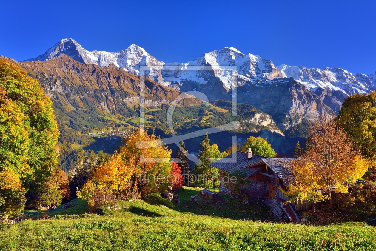 Bild-Nr.: 12016285 Alphütte mit Aussicht erstellt von suteracher