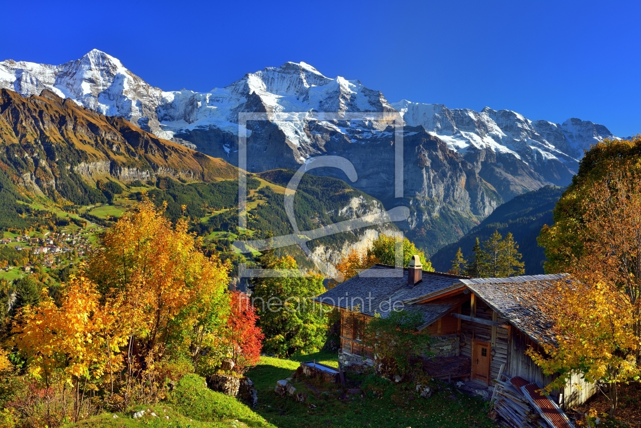 Bild-Nr.: 12016468 Alphütte mit Bergsicht erstellt von suteracher