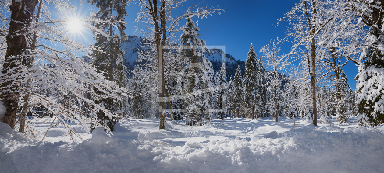 Bild-Nr.: 12016618 Verschneiter Winterwald erstellt von SusaZoom