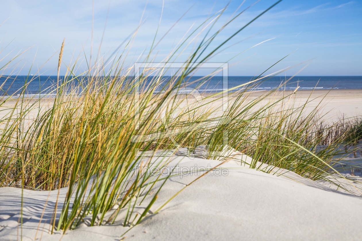 Bild-Nr.: 12016724 Dünen  Strand und Meer erstellt von Ursula Reins