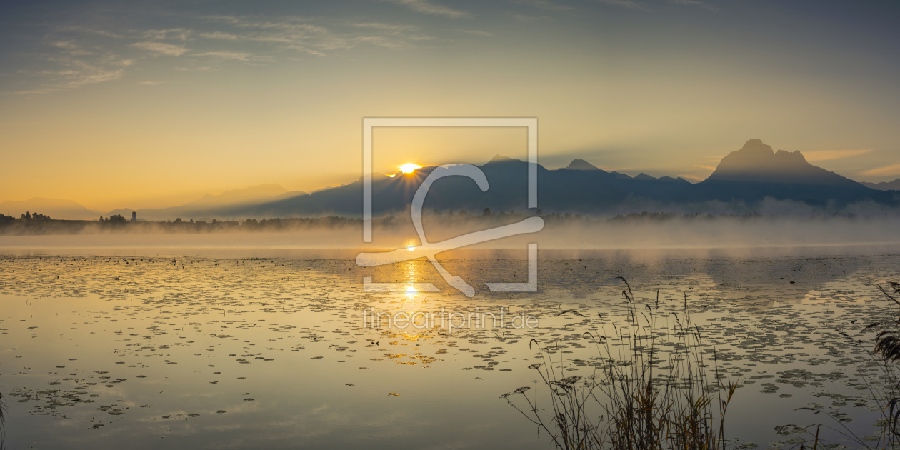 Bild-Nr.: 12016841 Sonnenaufgang am Hopfensee erstellt von Walter G. Allgöwer