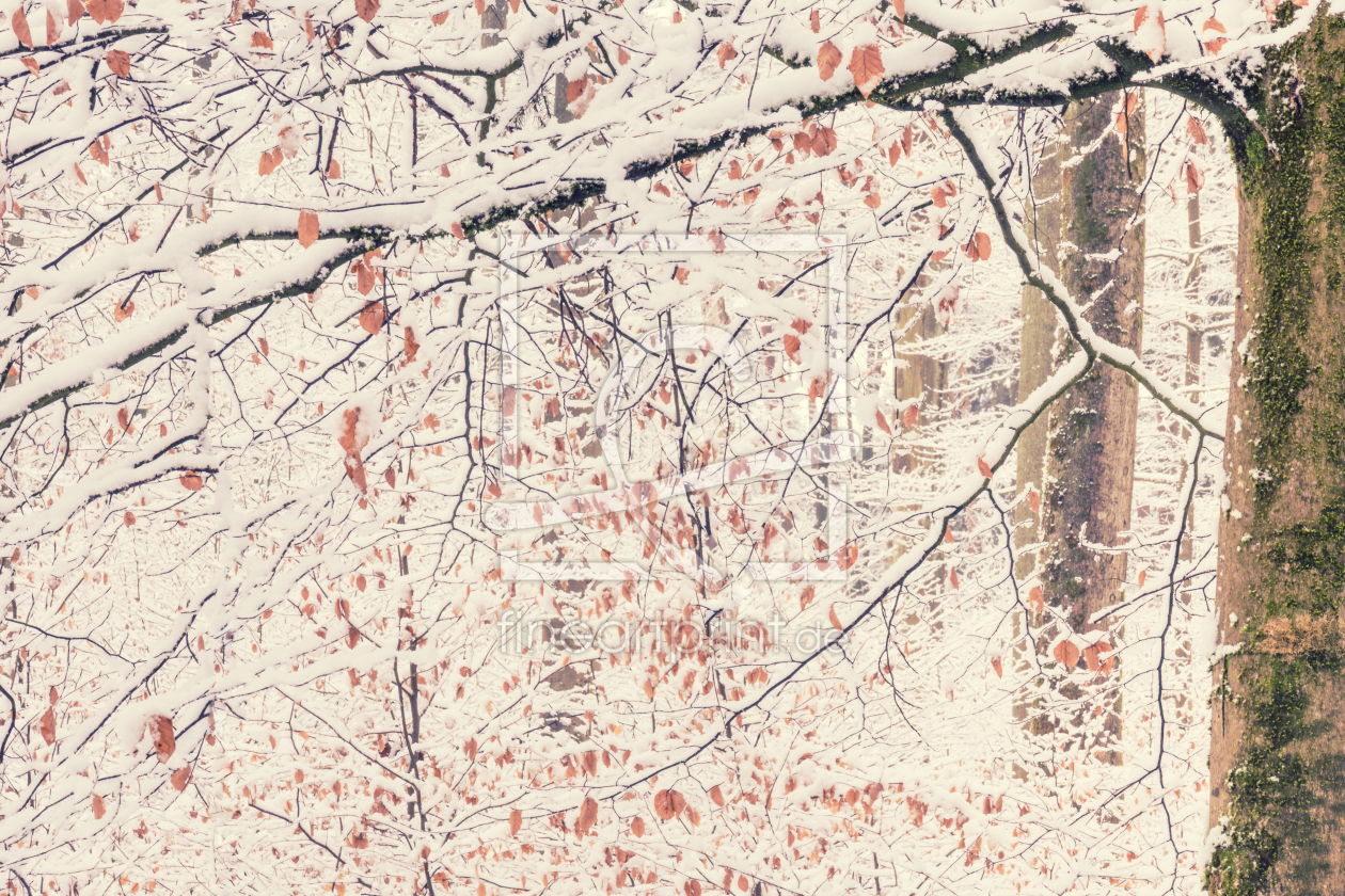 Bild-Nr.: 12017591 Schnee im Wald erstellt von luxpediation