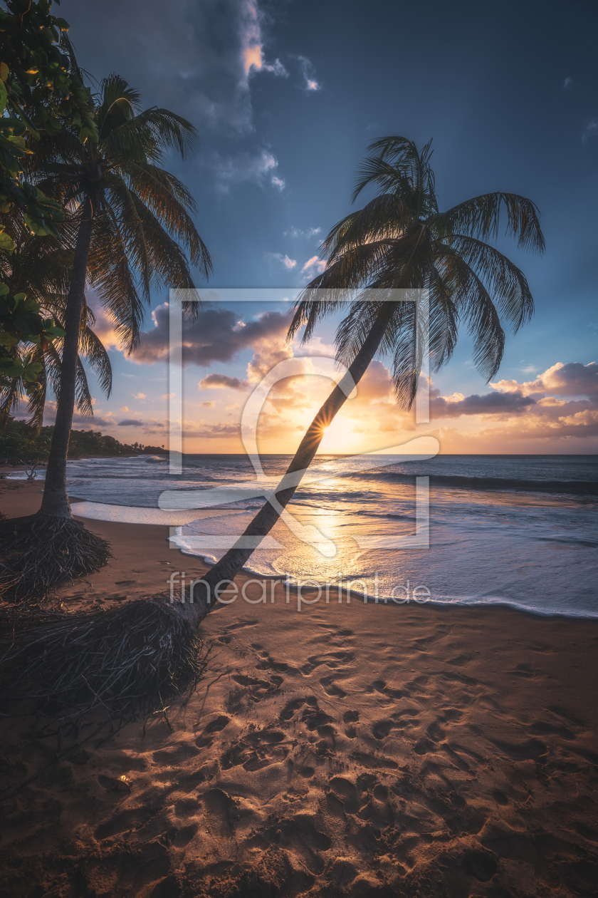 Bild-Nr.: 12017602 Guadeloupe Karibik Strand zum Sonnenuntergang erstellt von Jean Claude Castor