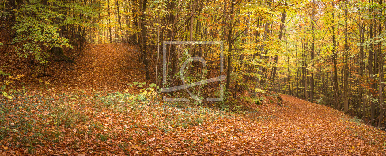 Bild-Nr.: 12017812 Herbstliche Natur Panorama erstellt von luxpediation