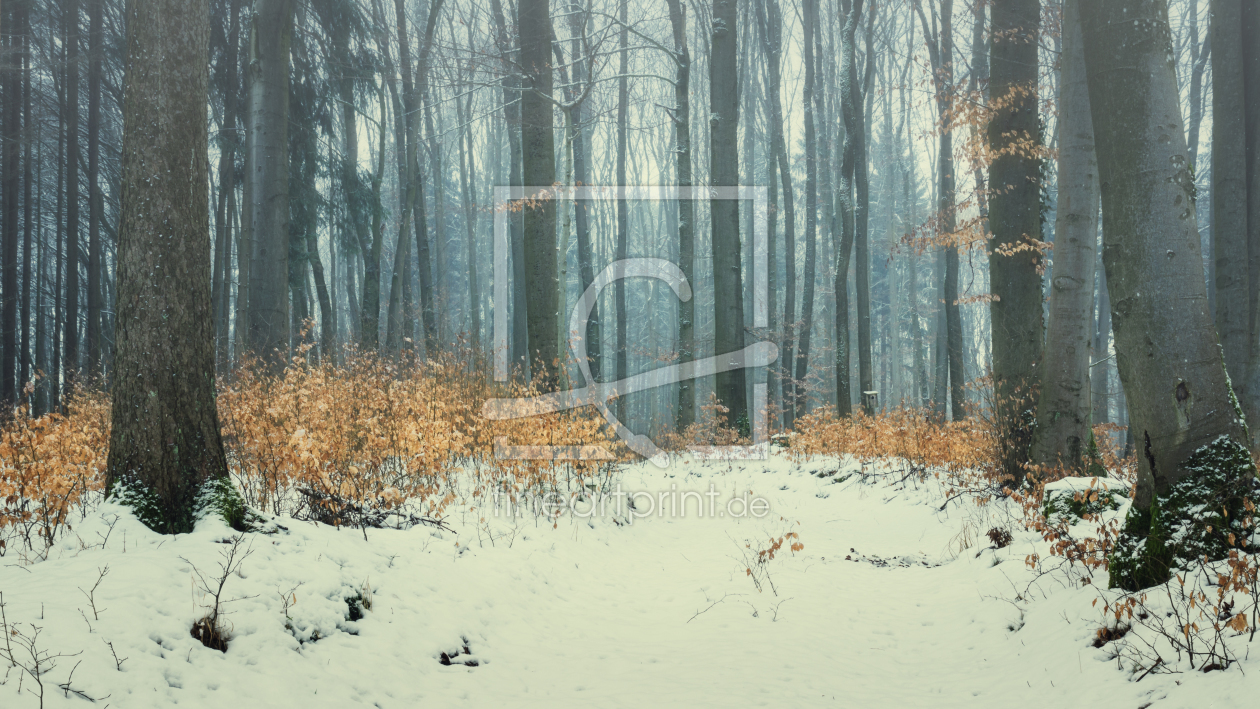 Bild-Nr.: 12018154 Winter Wald erstellt von luxpediation